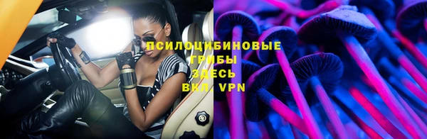 spice Горнозаводск