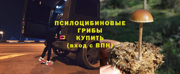 ешки Горно-Алтайск